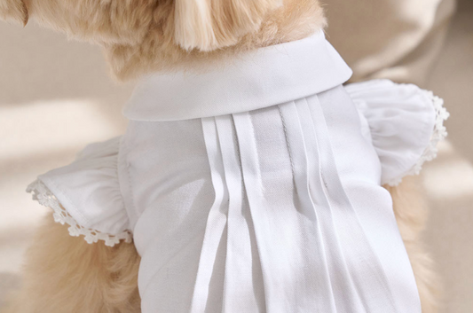 即納【It’s Sunny Outside】 Angel Blouse｜ 4 sizes