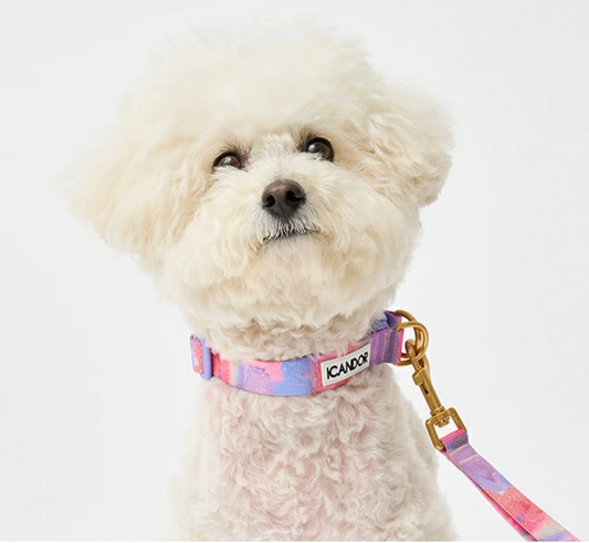 即納【iCANDOR 】Gentle Collar Dual｜MILKY WAY