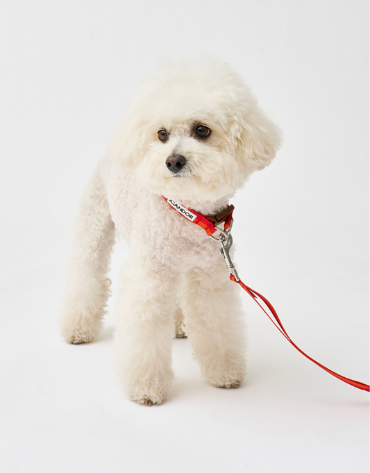 即納【iCANDOR】Gentle Collar Dual｜SUNSET