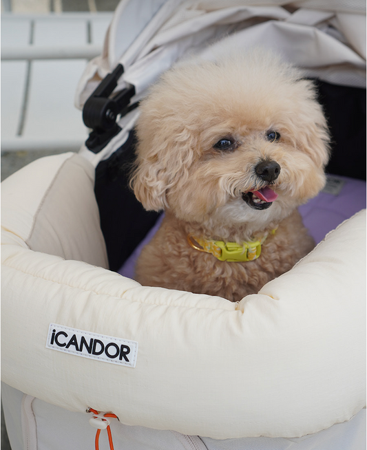 NEW｜予約商品【icandor】Urban Shield Cushion｜Cream