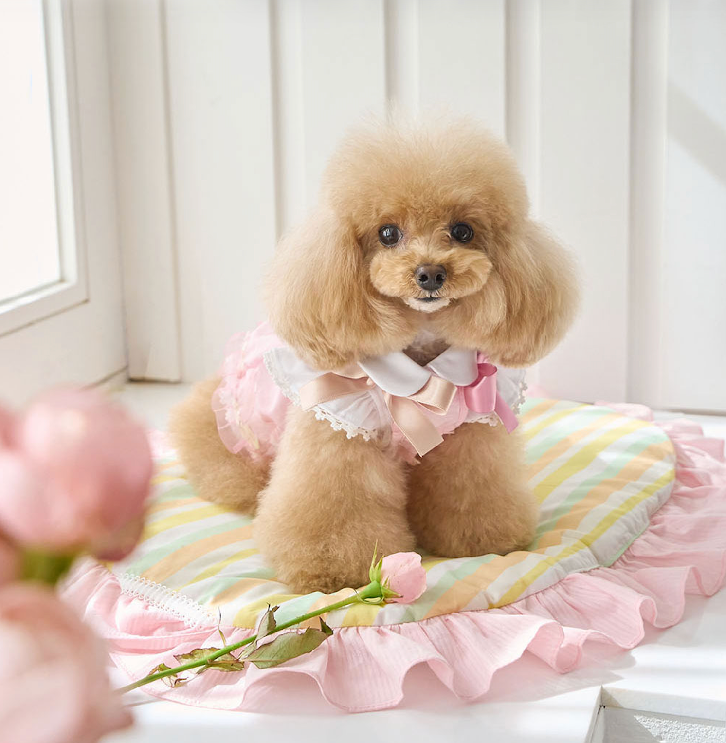 即納【It’s Sunny Outside】 Blossom Cushion｜Pink