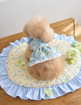 Gallery viewerに画像を読み込む, 即納【It’s Sunny Outside】 Preppy Cushion
