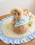 Gallery viewerに画像を読み込む, 即納【It’s Sunny Outside】 Preppy Cushion
