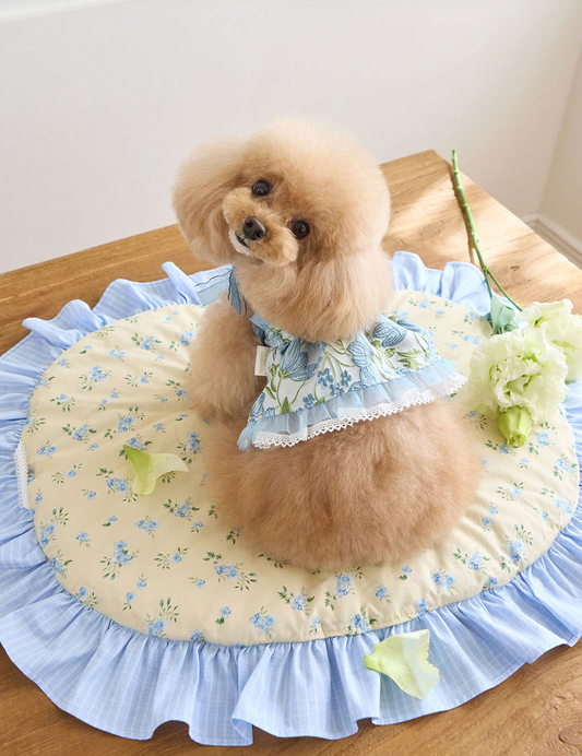 即納【It’s Sunny Outside】 Preppy Cushion