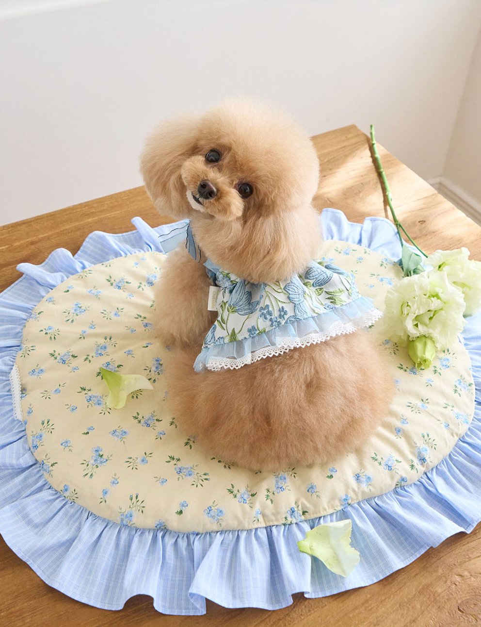 即納【it's Sunny outside】Blossom Jacquard Bustier｜ Blue