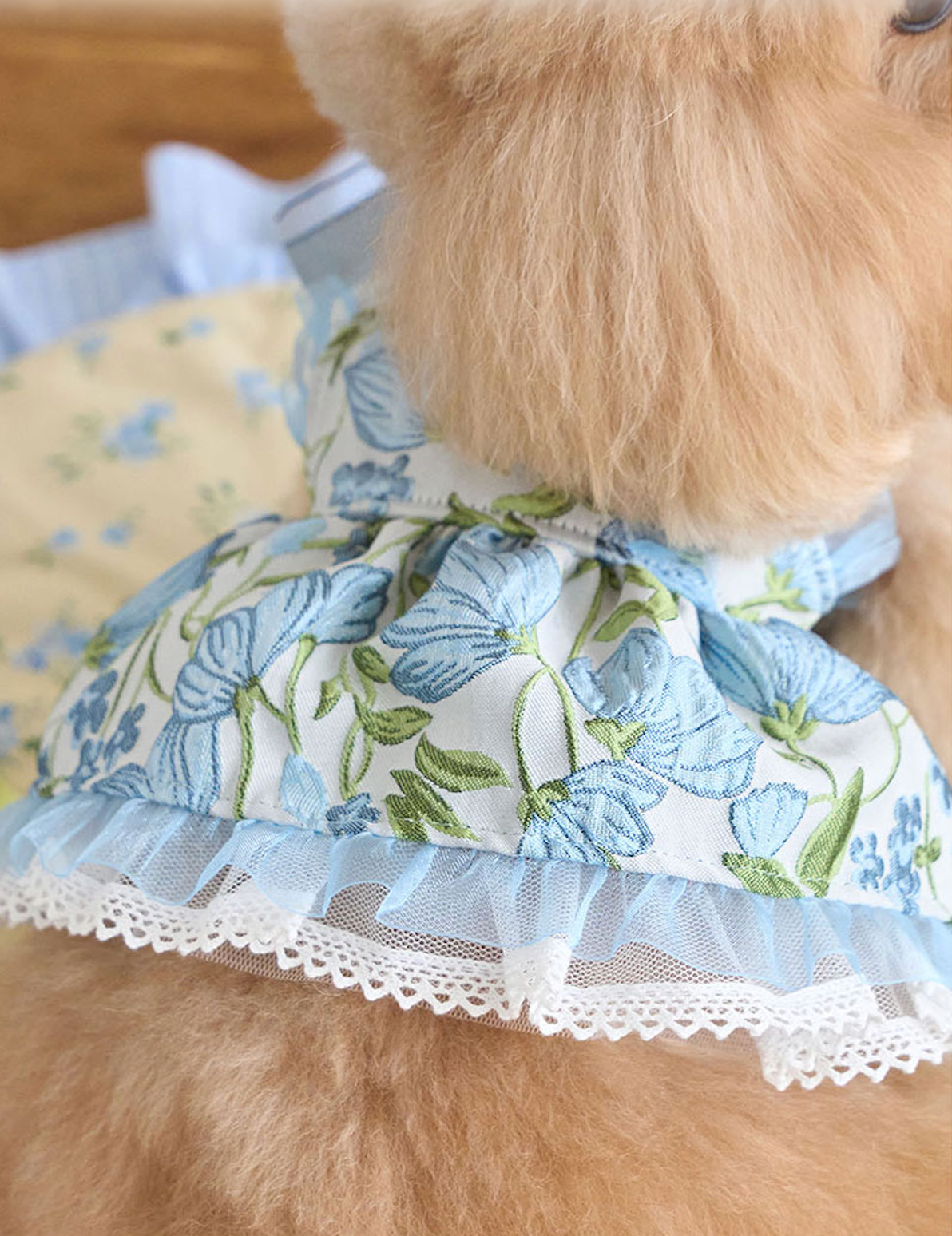 即納【it's Sunny outside】Blossom Jacquard Bustier｜ Blue