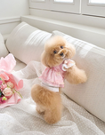 Gallery viewerに画像を読み込む, 即納【it's Sunny outside】Blossom Jacquard Bustier｜ Pink
