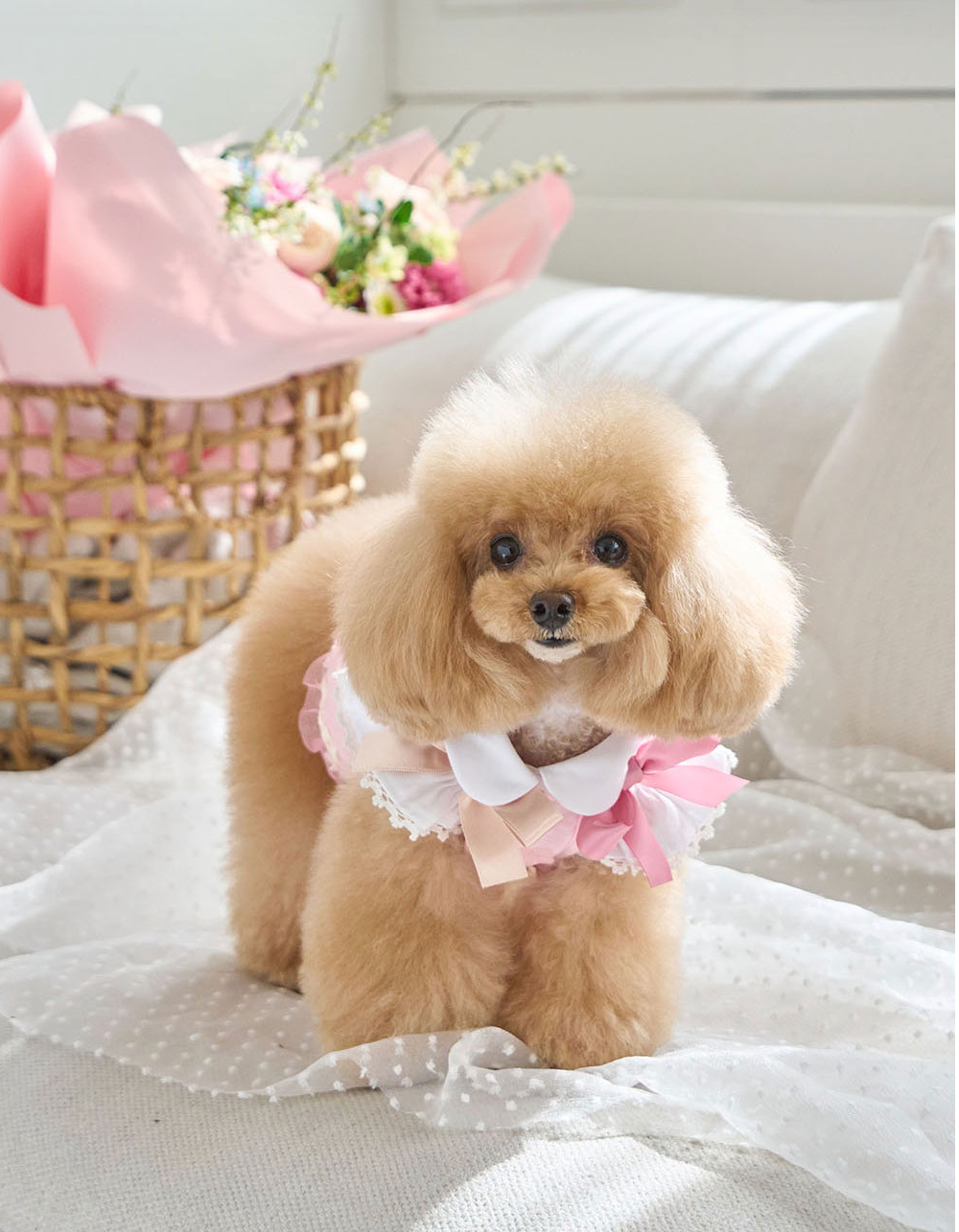 即納【it's Sunny outside】Blossom Jacquard Bustier｜ Pink