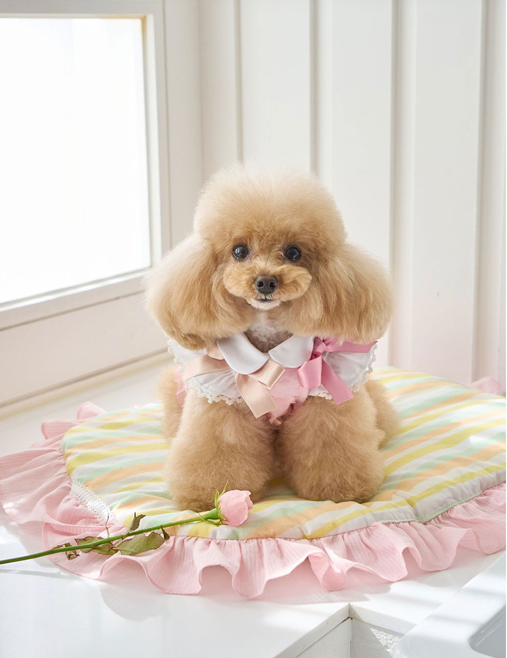 即納【it's Sunny outside】Blossom Jacquard Bustier｜ Pink