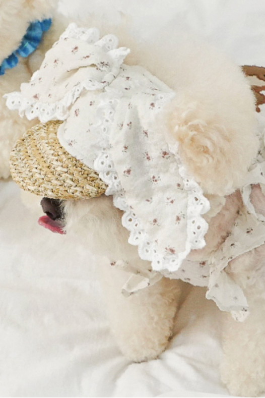 NEW｜即納【MEANINGLUS】Flower Cap