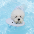 Gallery viewerに画像を読み込む, 即納【Bailey】TEDDY LIFE JACKET｜BLUE
