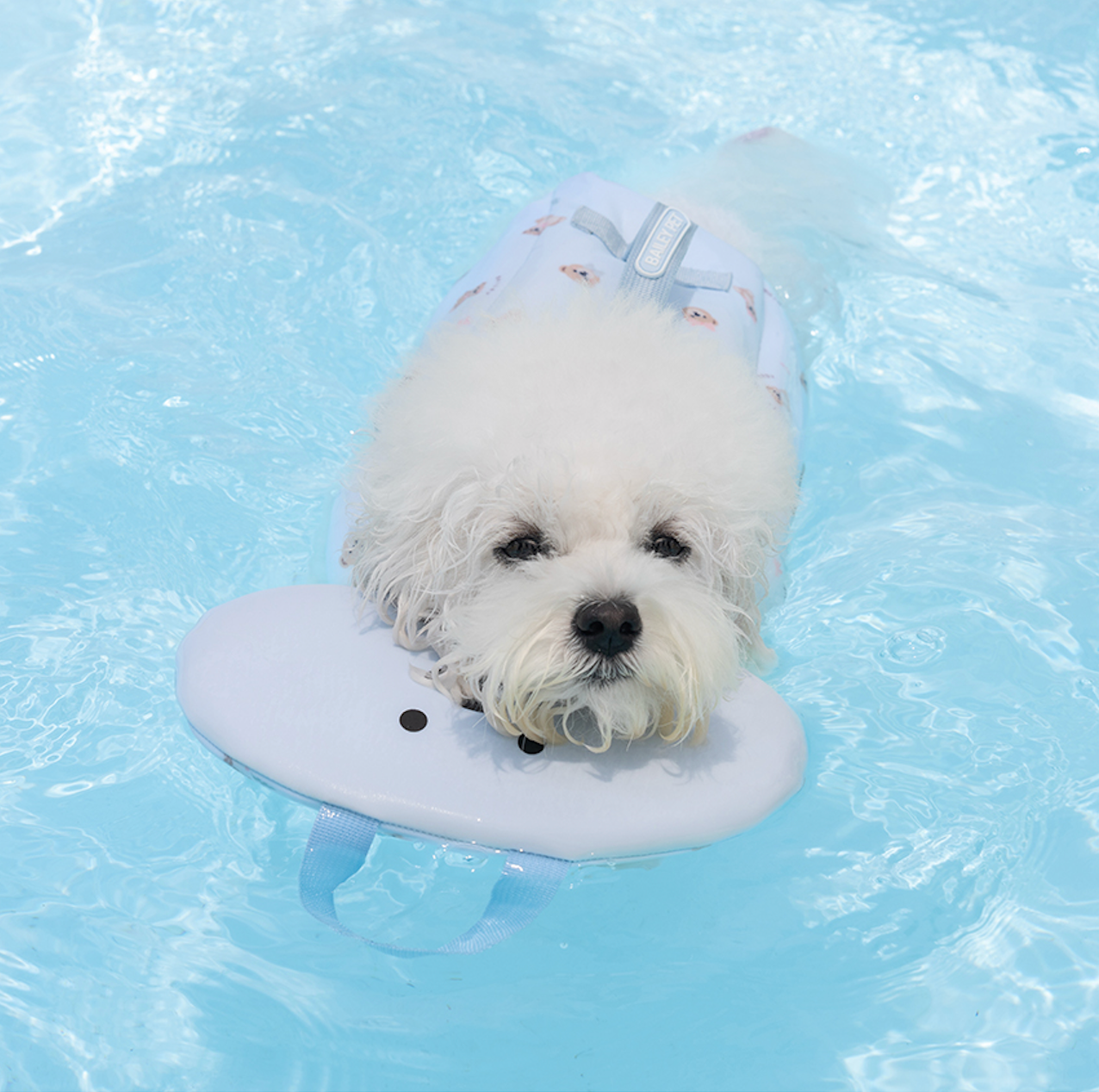 即納【Bailey】TEDDY LIFE JACKET｜BLUE