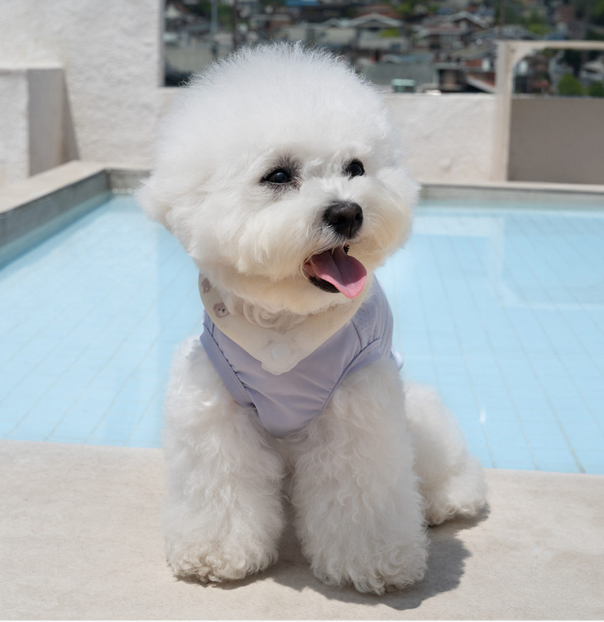 NEW｜即納【Bailey】ICE NECK COOLER｜TEDDY