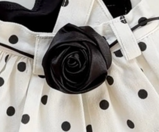NEW｜即納【todley】Black Rose Belt