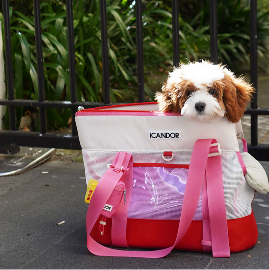 新品【iCANDOR】 BRISBANE BAG BAG 犬用キャリーケース iCANDOR - Brisbane Bag – Harumio