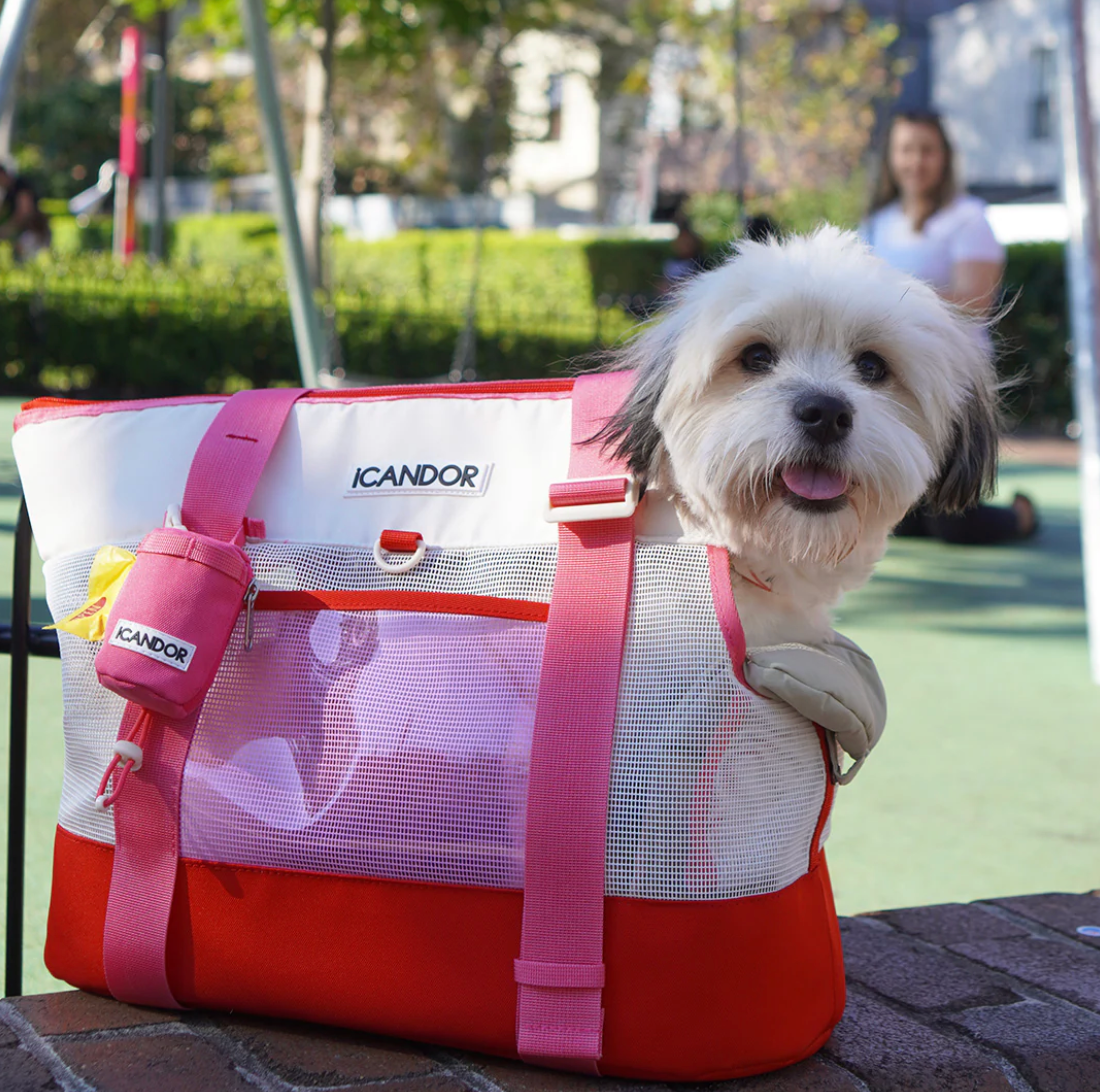 NEW｜即納【iCANDOR】Brisbane Bag｜Flamingo Pink