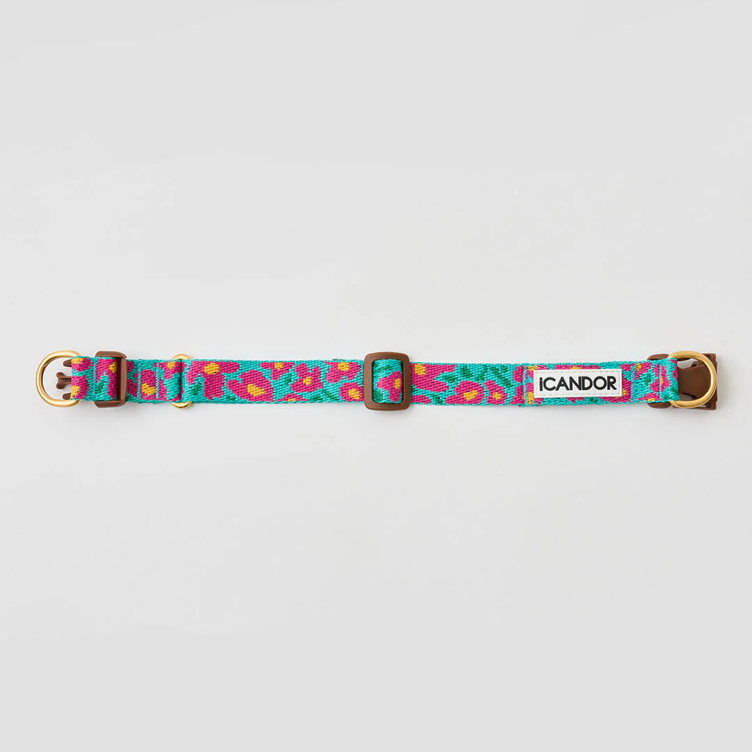 ★即納【正規販売店】iCANDOR   Gentle Collar Dual＿BIG FISH MINT