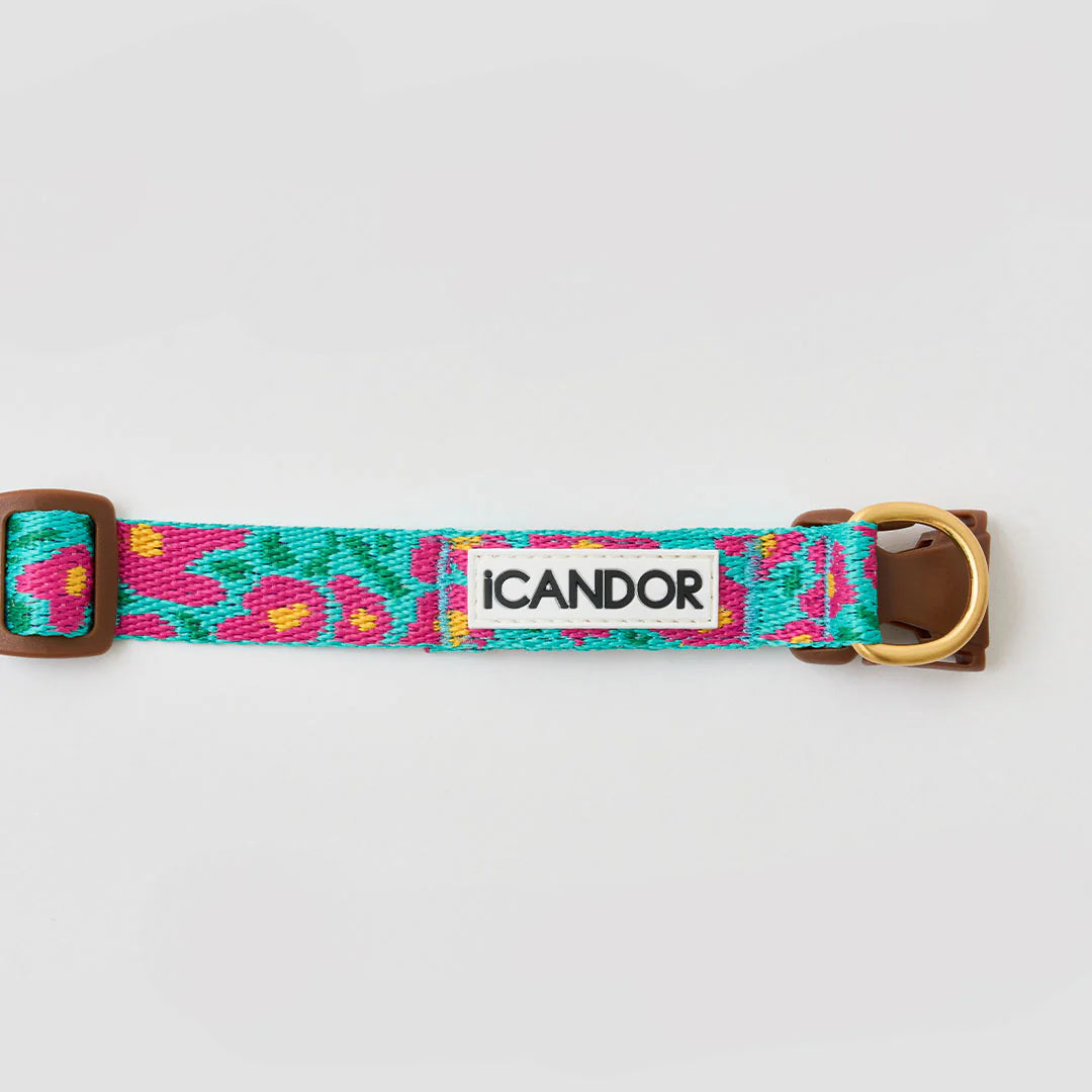 ★即納【正規販売店】iCANDOR   Gentle Collar Dual＿BIG FISH MINT