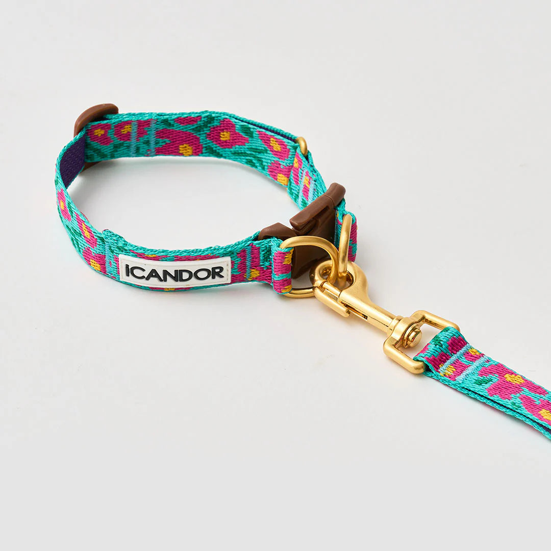 ★即納【正規販売店】iCANDOR   Gentle Collar Dual＿BIG FISH MINT