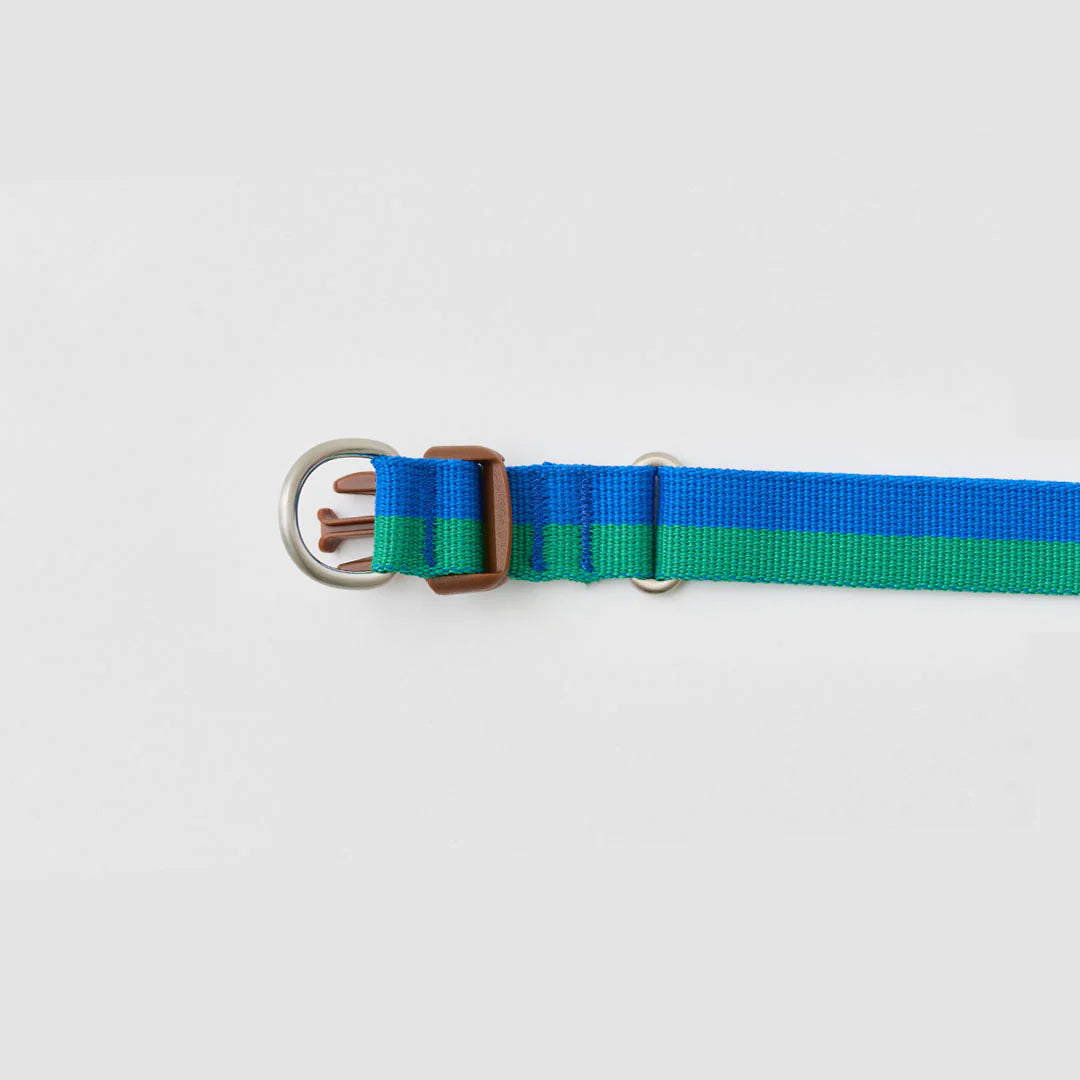 ★即納【正規販売店】iCANDOR   Gentle Collar Dual＿ FOREST