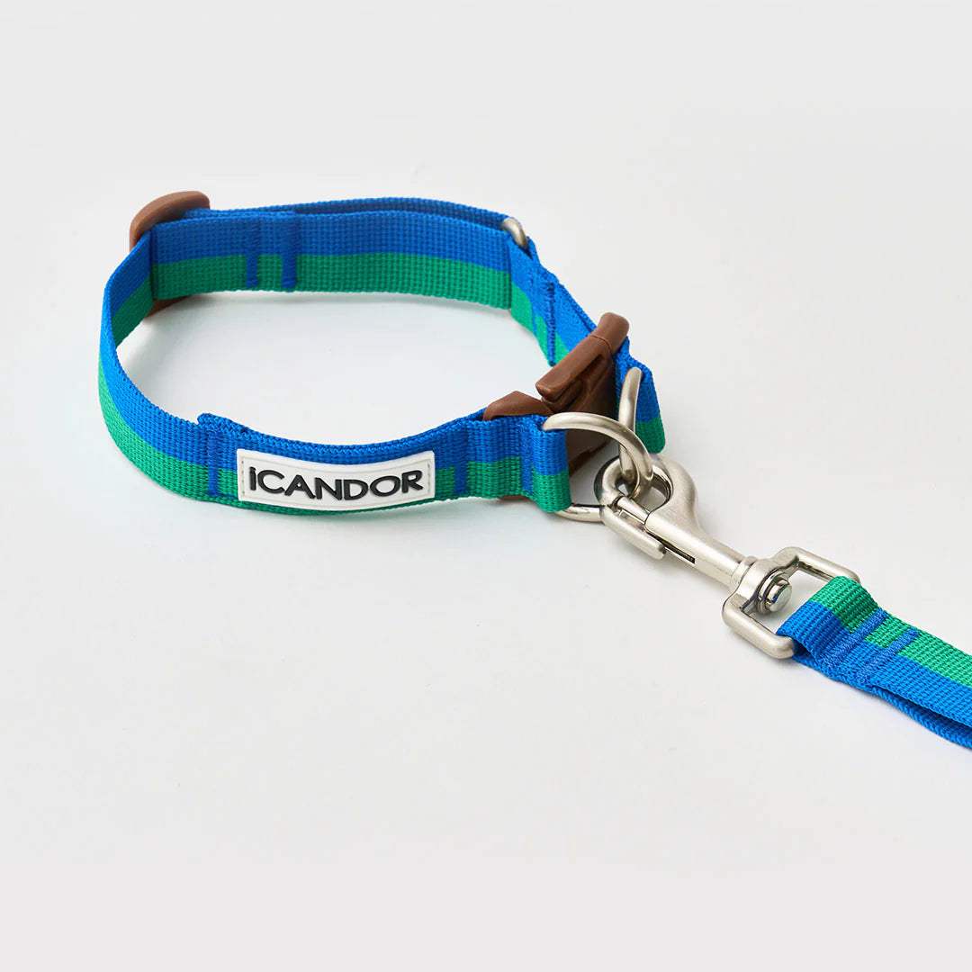 ★即納【正規販売店】iCANDOR   Gentle Collar Dual＿ FOREST
