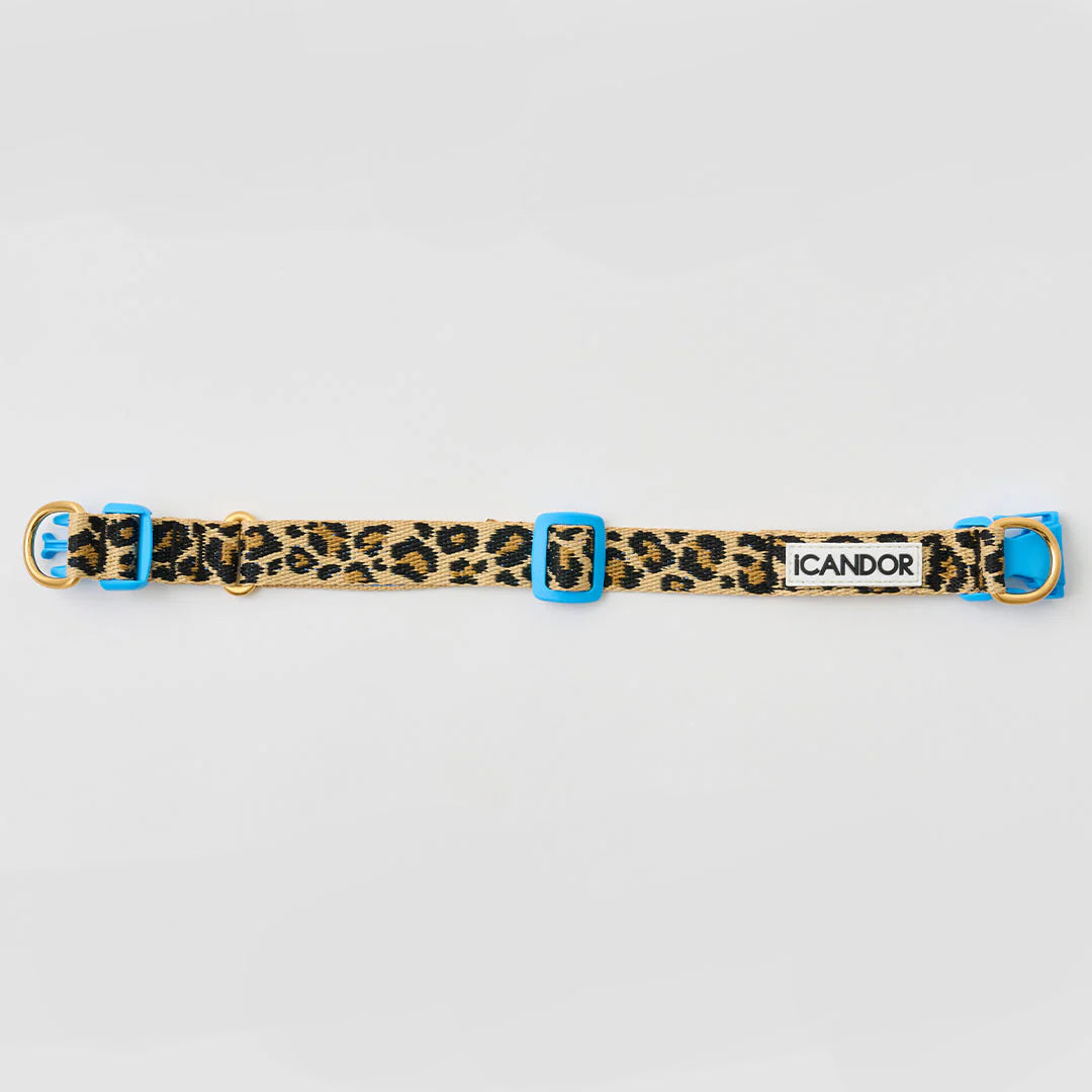 ★即納【正規販売店】iCANDOR   Gentle Collar Dual＿LEOPARD