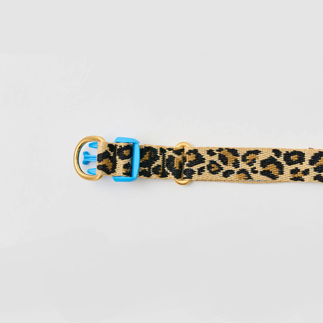 ★即納【正規販売店】iCANDOR   Gentle Collar Dual＿LEOPARD