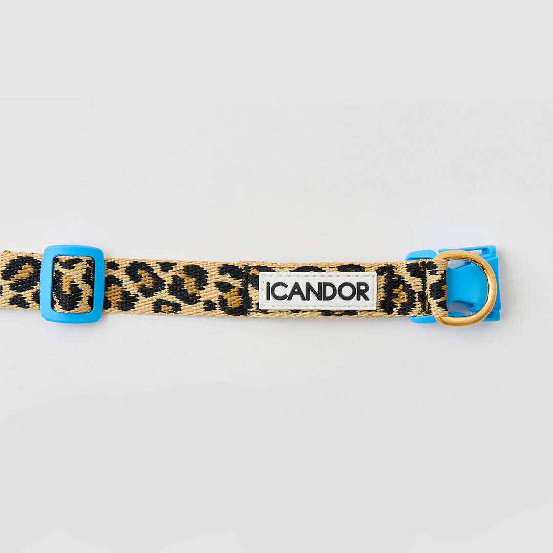 ★即納【正規販売店】iCANDOR   Gentle Collar Dual＿LEOPARD