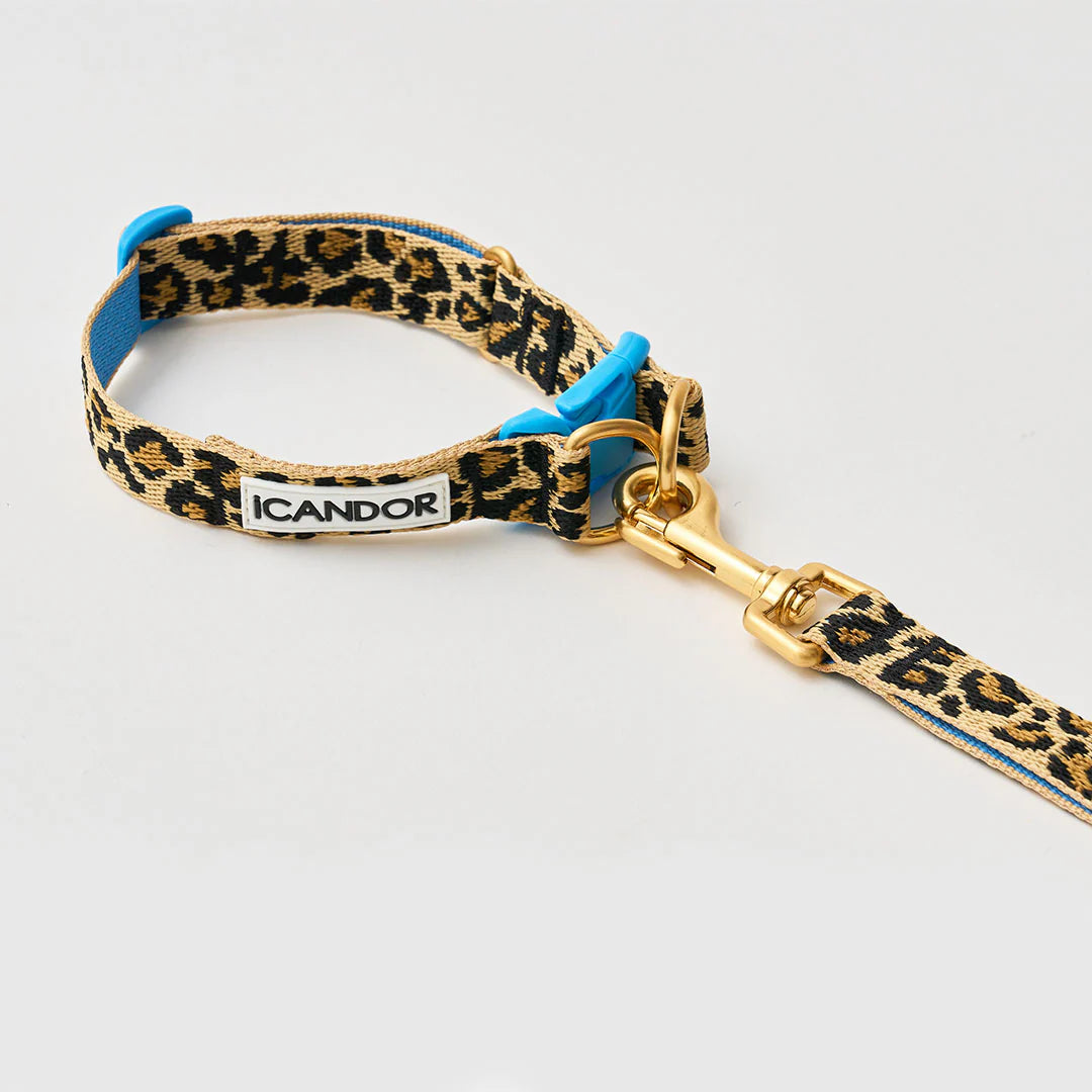 ★即納【正規販売店】iCANDOR   Gentle Collar Dual＿LEOPARD