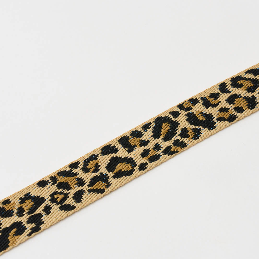 ★即納【正規販売店】iCANDOR   Gentle Collar Dual＿LEOPARD