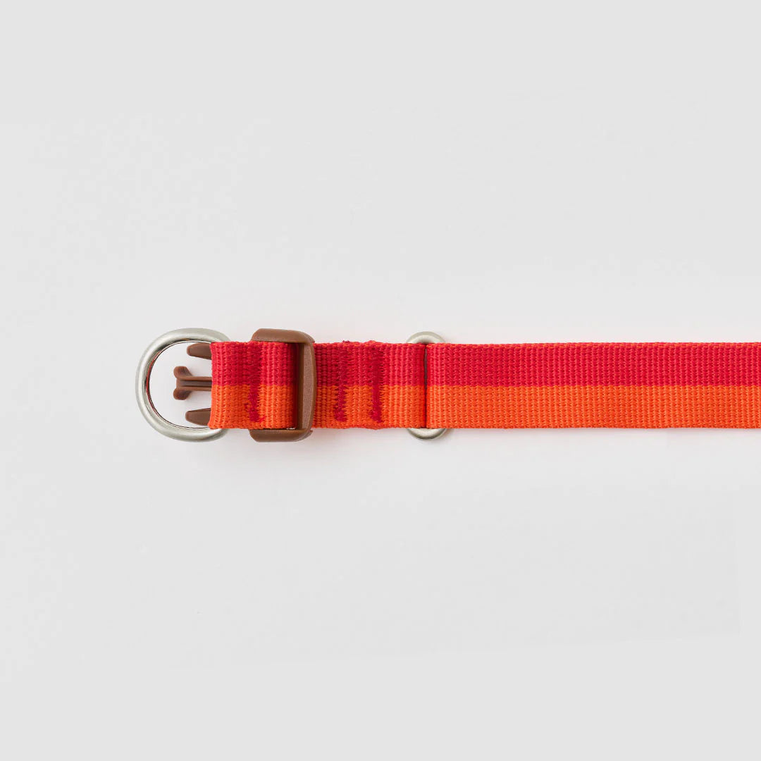★即納【正規販売店】iCANDOR   Gentle Collar Dual＿SUNSET