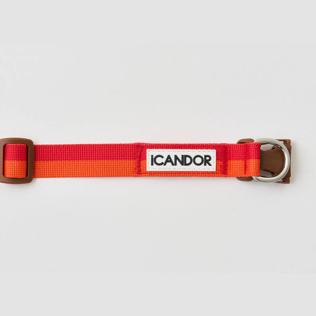 ★即納【正規販売店】iCANDOR   Gentle Collar Dual＿SUNSET