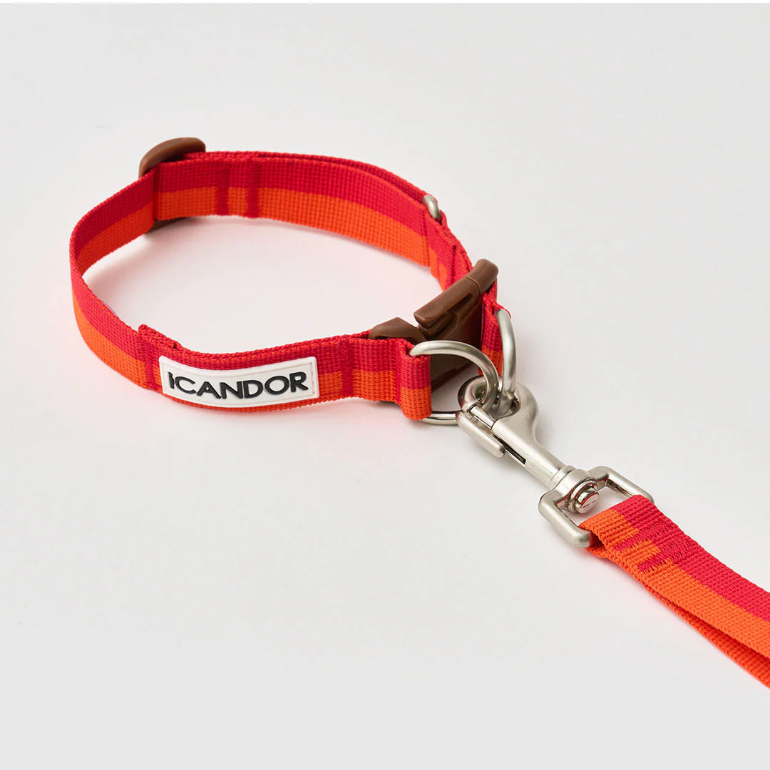 ★即納【正規販売店】iCANDOR   Gentle Collar Dual＿SUNSET