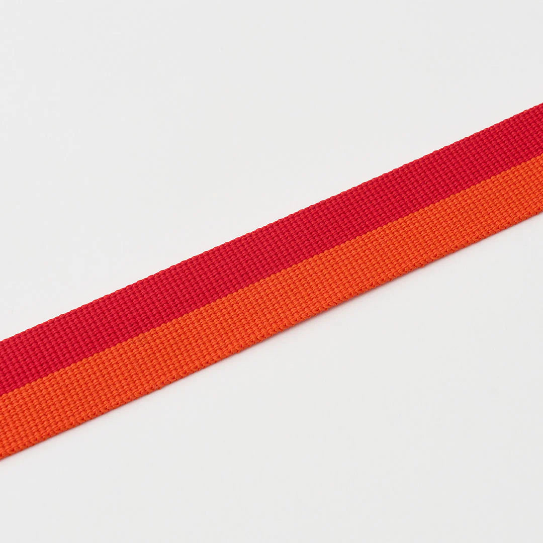 ★即納【正規販売店】iCANDOR   Gentle Collar Dual＿SUNSET