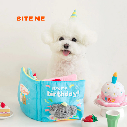 🇰🇷即納【BITE ME  】マイバースデー ノーズワークプレイブック