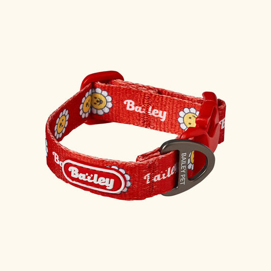 ★NEW★【予約商品】デイジー　ウォーキーcollar_レッド