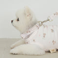 Gallery viewerに画像を読み込む, 予約商品【Bailey】Teddy Walky Collar｜Pink
