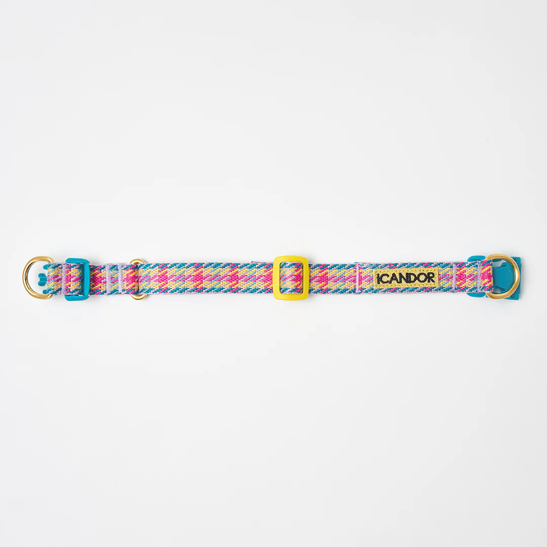 NEW｜即納【iCANDOR】Gentle Collar Dual｜Edinburgh Check 　※LIMITED COLOR