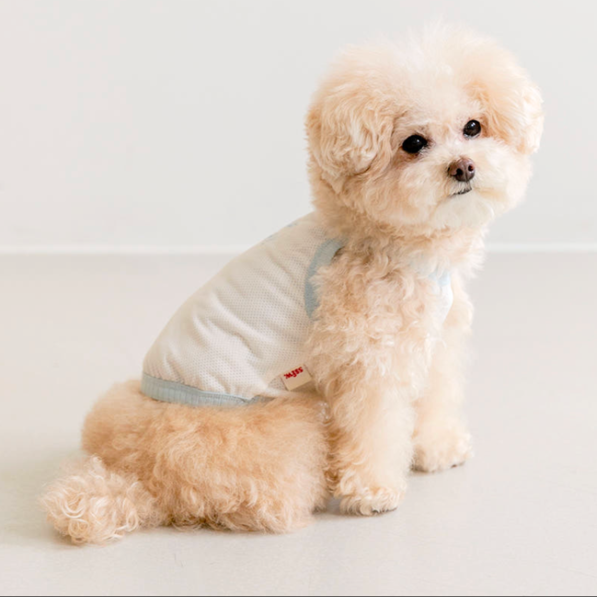 NEW｜即納【ssfw】Zero Bug Ice top｜Ivory