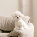 Gallery viewerに画像を読み込む, NEW｜即納【todley】New Turtleneck｜Ivory
