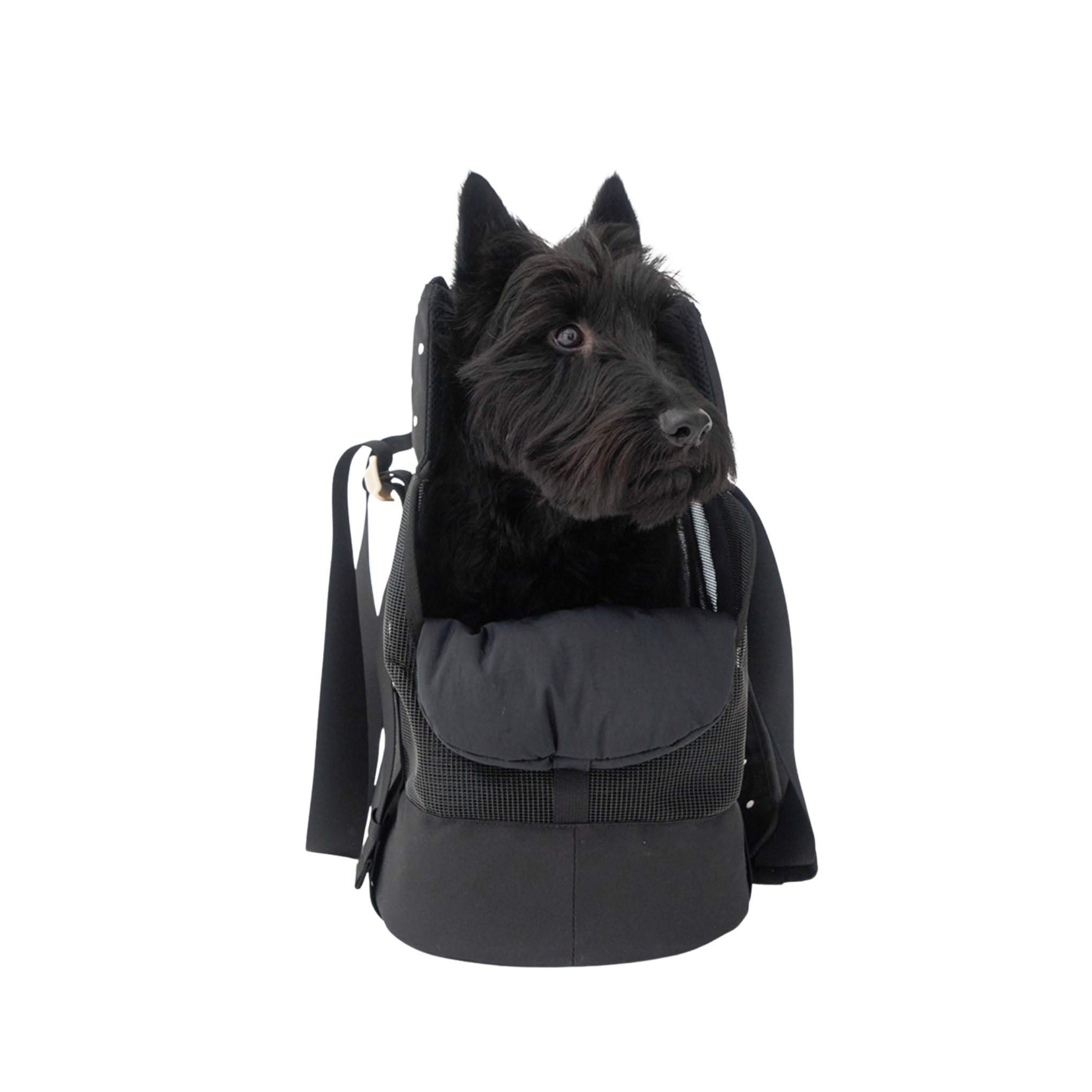 NEW｜予約商品【iCANDOR】Brisbane Bag｜ Capri Black  ※M,L,XL