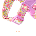 Gallery viewerに画像を読み込む, NEW｜即納【iCANDOR】No-Pull Harness｜FROLA　※XS,S,M,L
