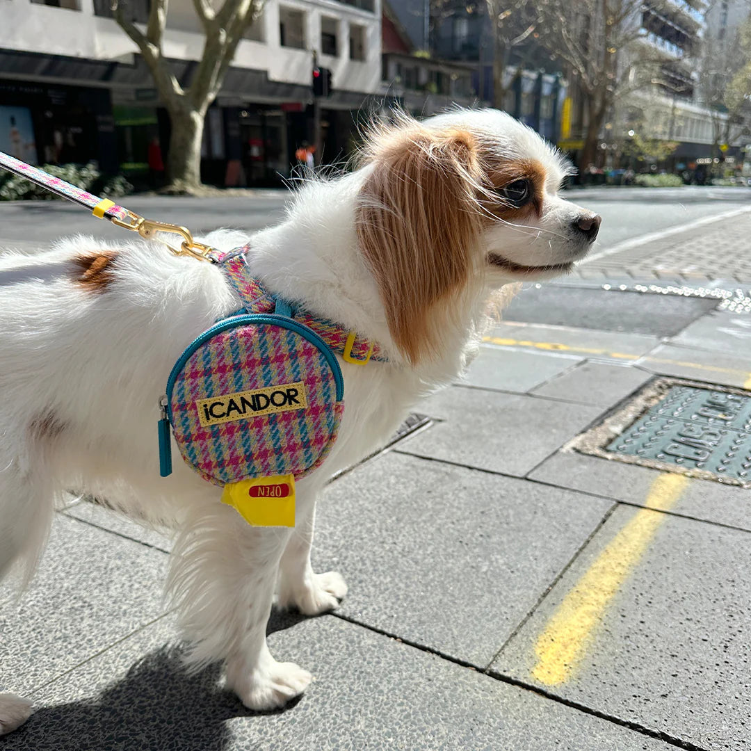 即納【iCANDOR】Dingle-Dangle Bag｜Edinburgh Check　※LIMITED COLOR