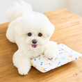 Gallery viewerに画像を読み込む, COMING SOON 【it's Sunny Outside】Cool Pouch｜Ice Bare
