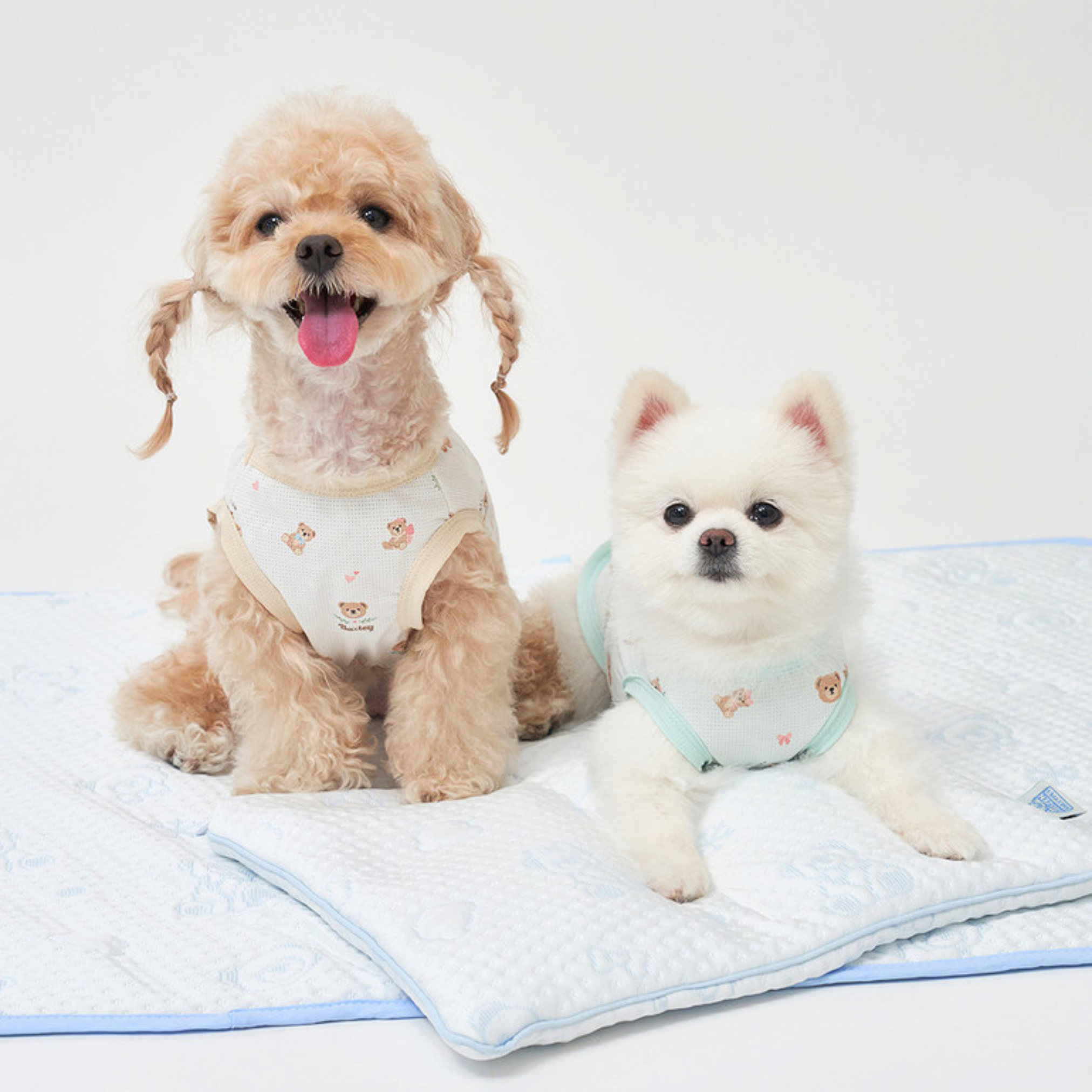 NEW｜即納【Bailey】SNOW TEDDY POUCH｜２sizes　
