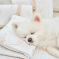 Gallery viewerに画像を読み込む, NEW｜即納【Bailey】SNOW TEDDY COOLING MAT｜S,M size
