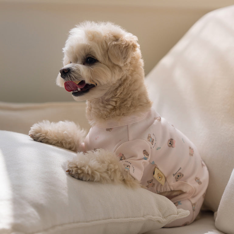 NEW★予約商品【正規販売店】🧸Bailey  テディ 抗菌オールインワン