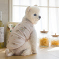 Gallery viewerに画像を読み込む, ★NEW★即納【正規販売店】🧸Bailey Pet テディ スリーブレス_ピンク
