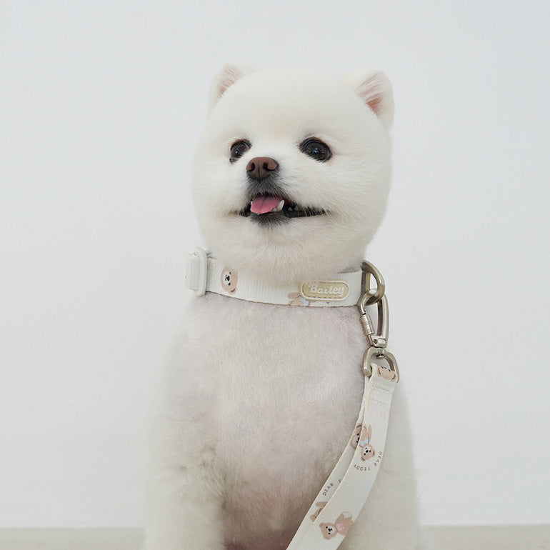 ★NEW★【予約商品】🧸Bailey Pet  TEDDYウォーキーcollar_アイボリー