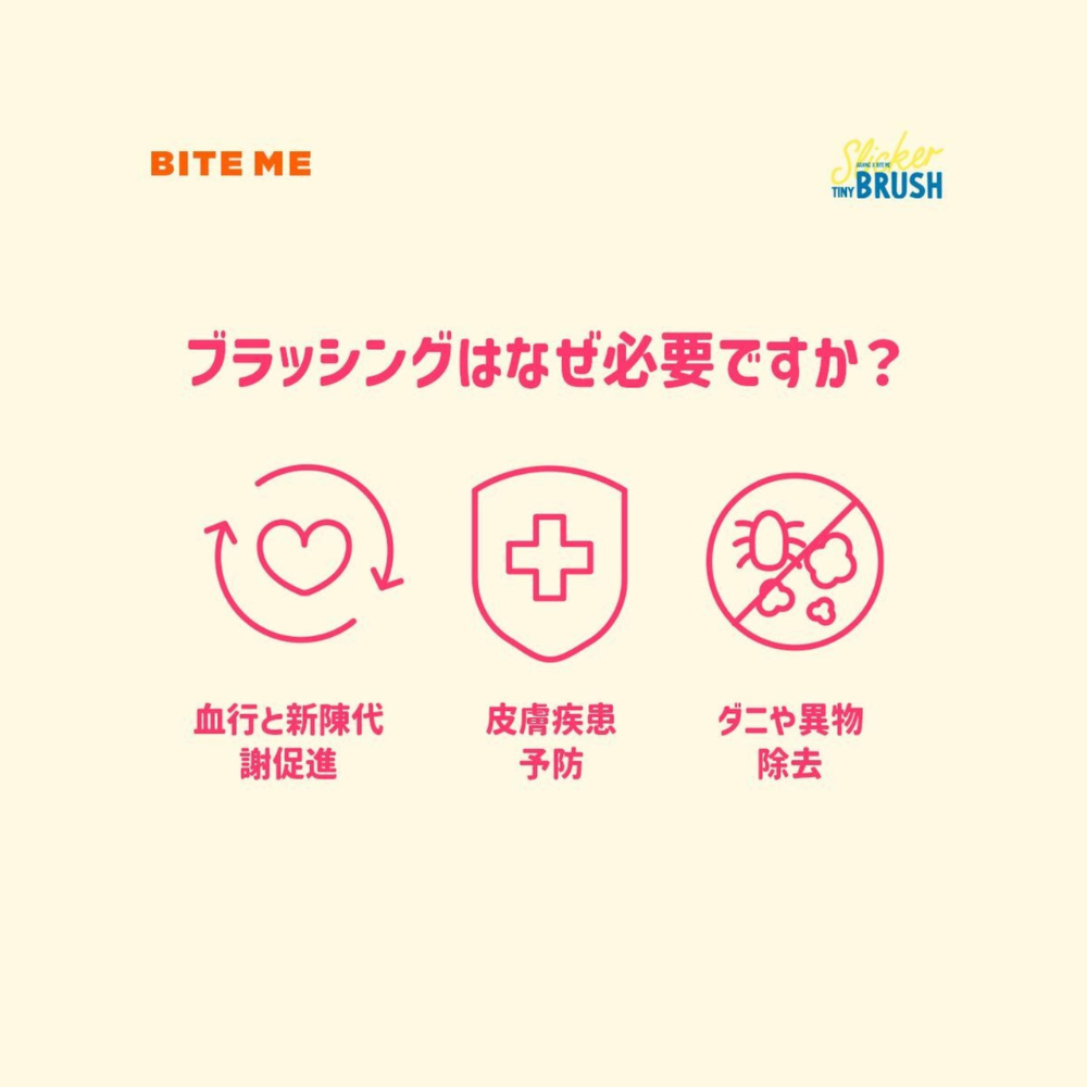 ★即納【BITE ME】タイニースリッカーブラシ